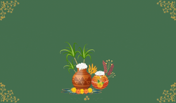 Pongal Wishes in Hindi