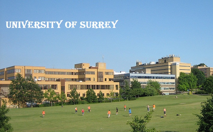 University of Surrey Wiki Biography History Ranking Location Established