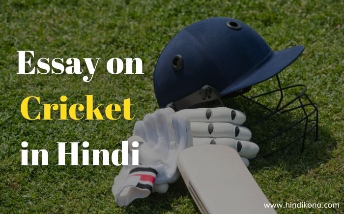 essay on cricket in hindi