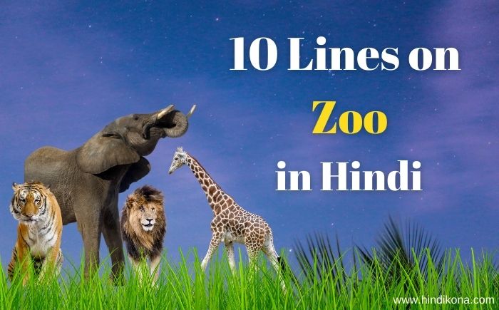 10 Lines on Zoo in Hindi