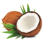 Coconut name in Hindi