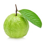 Guava name in hindi