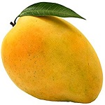 mango Fruit