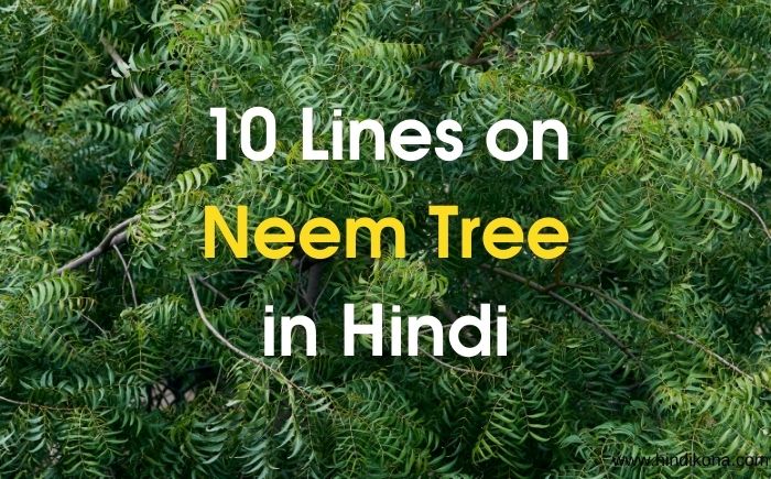 10 Lines on Neem Tree in Hindi