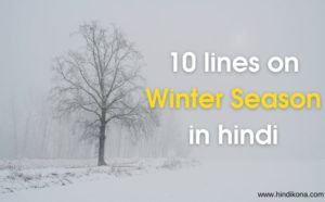 10 Lines on Winter Season in Hindi। शीत ऋतु पर 10 लाइन निबंध | हिंदी कोना
