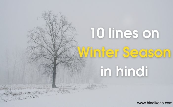 10 lines on winter season in hindi