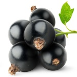 Black Currant Name in Hindi