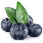Blueberry Name in Hindi