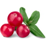 Cranberry Name in Hindi