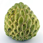 Custard Apple Name in Hindi