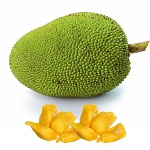 Jackfruit Name in Hindi