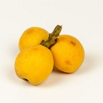 Loquat Name in Hindi