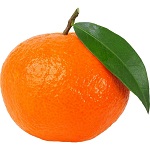 Mandarin Fruit Name in Hindi