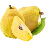 Quince Name in Hindi