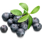 Sherbet Berry Name in Hindi