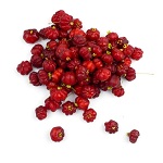 Surinam Cherry Name in Hindi