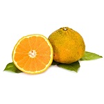 Ugli fruit Name in Hindi