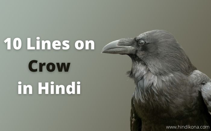 10 Lines on Crow in Hindi