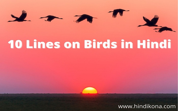10-lines-on-birds-in-hindi