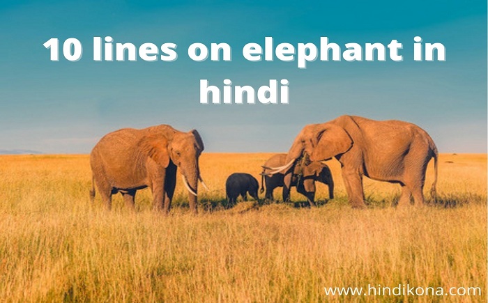 10-lines-on-elephant-in-hindi
