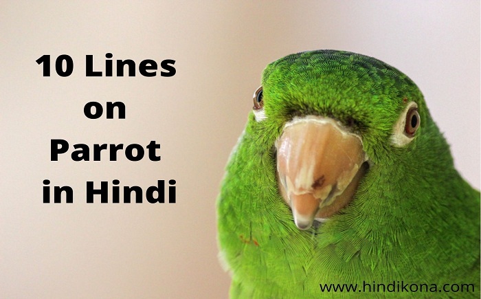 10-lines-on-parrot-in-hindi