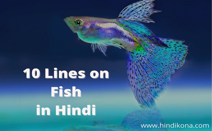 10-lines-on-fish-in-hindi