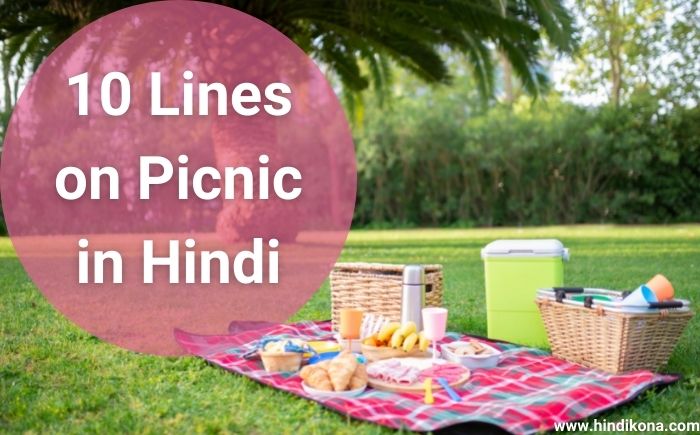 essay on picnic in hindi