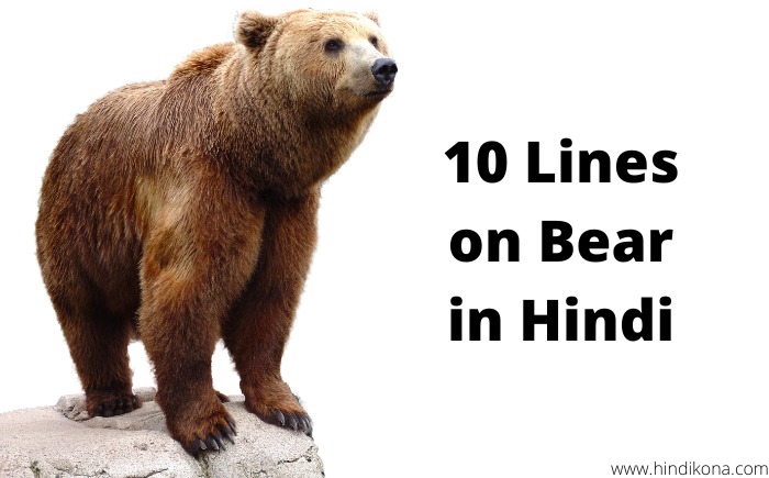 10 Lines on Bear in Hindi