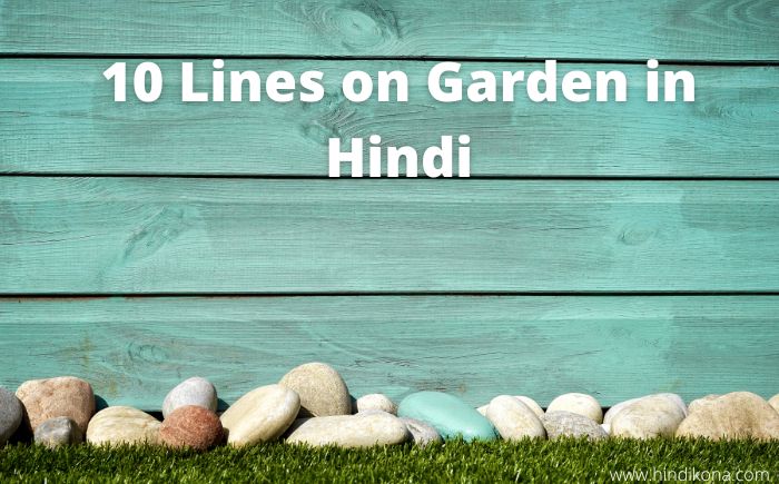 essay on my garden in hindi