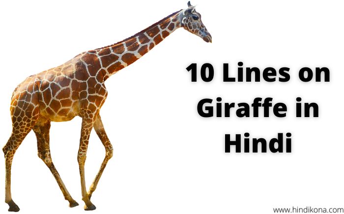 10 Lines on Giraffe in Hindi