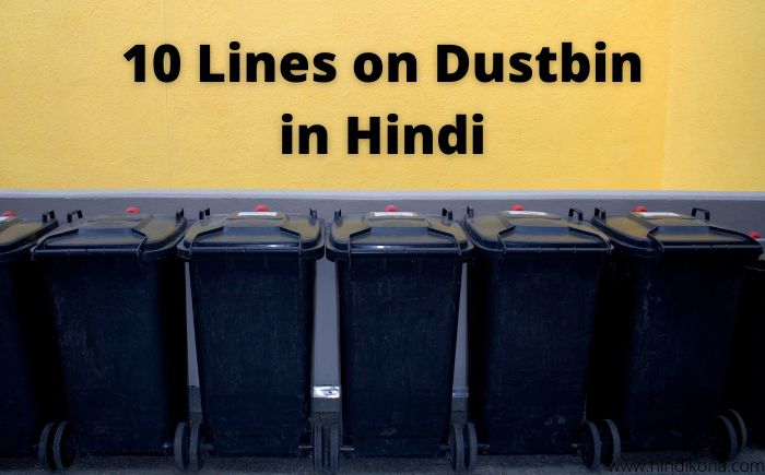 10 Lines on Dustbin in Hindi