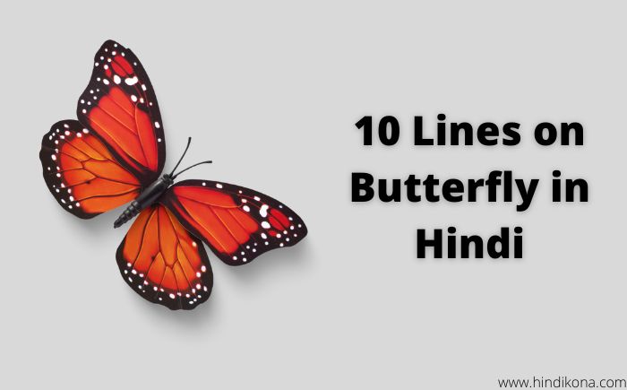 10 Lines on Butterfly in Hindi
