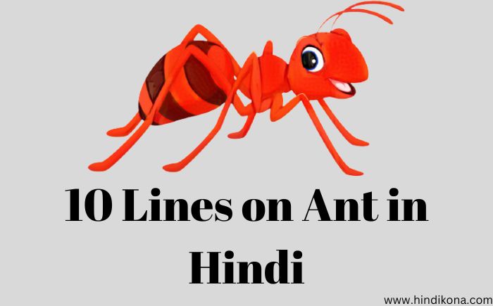 10 Lines on Ant in Hindi