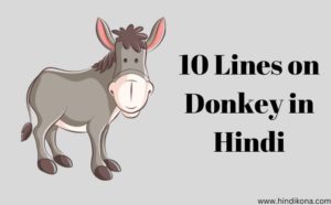 10 Lines on Donkey in Hindi । गधे पर 10 लाइन | हिंदी कोना
