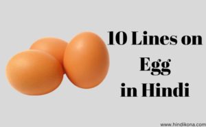 10 Lines on Egg in Hindi । अंडे पर 10 लाइन | हिंदी कोना